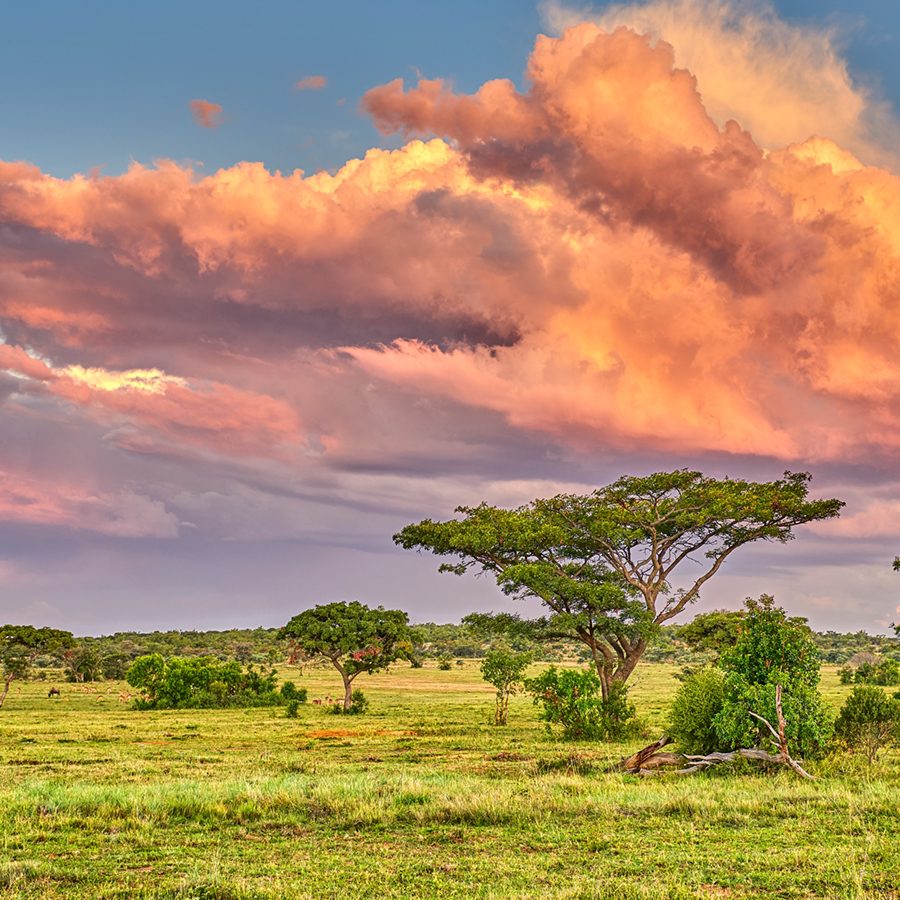 Welgevonden Private Game Reserve sunset